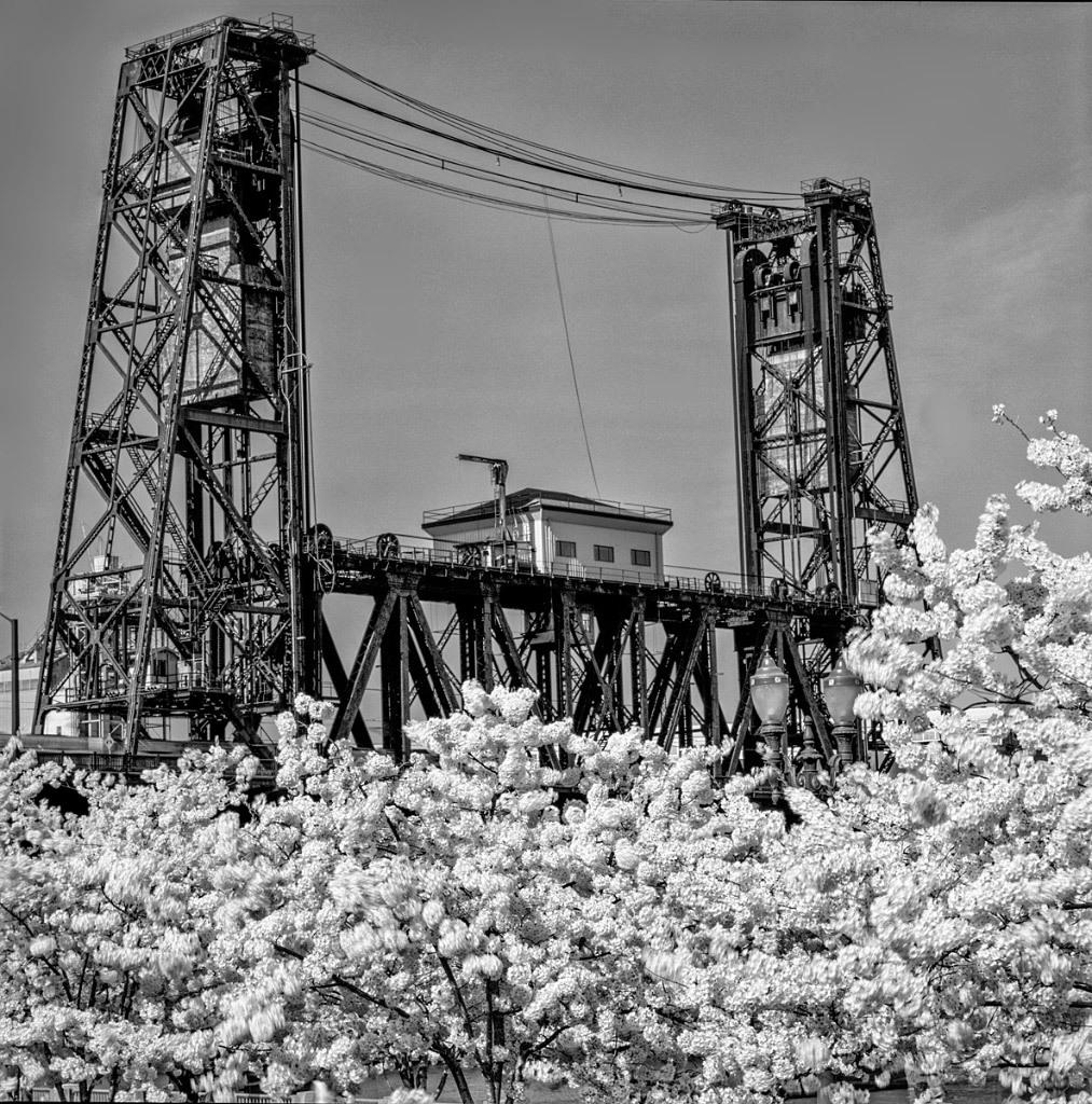 Bruce Clark, Steel Bridge Portland