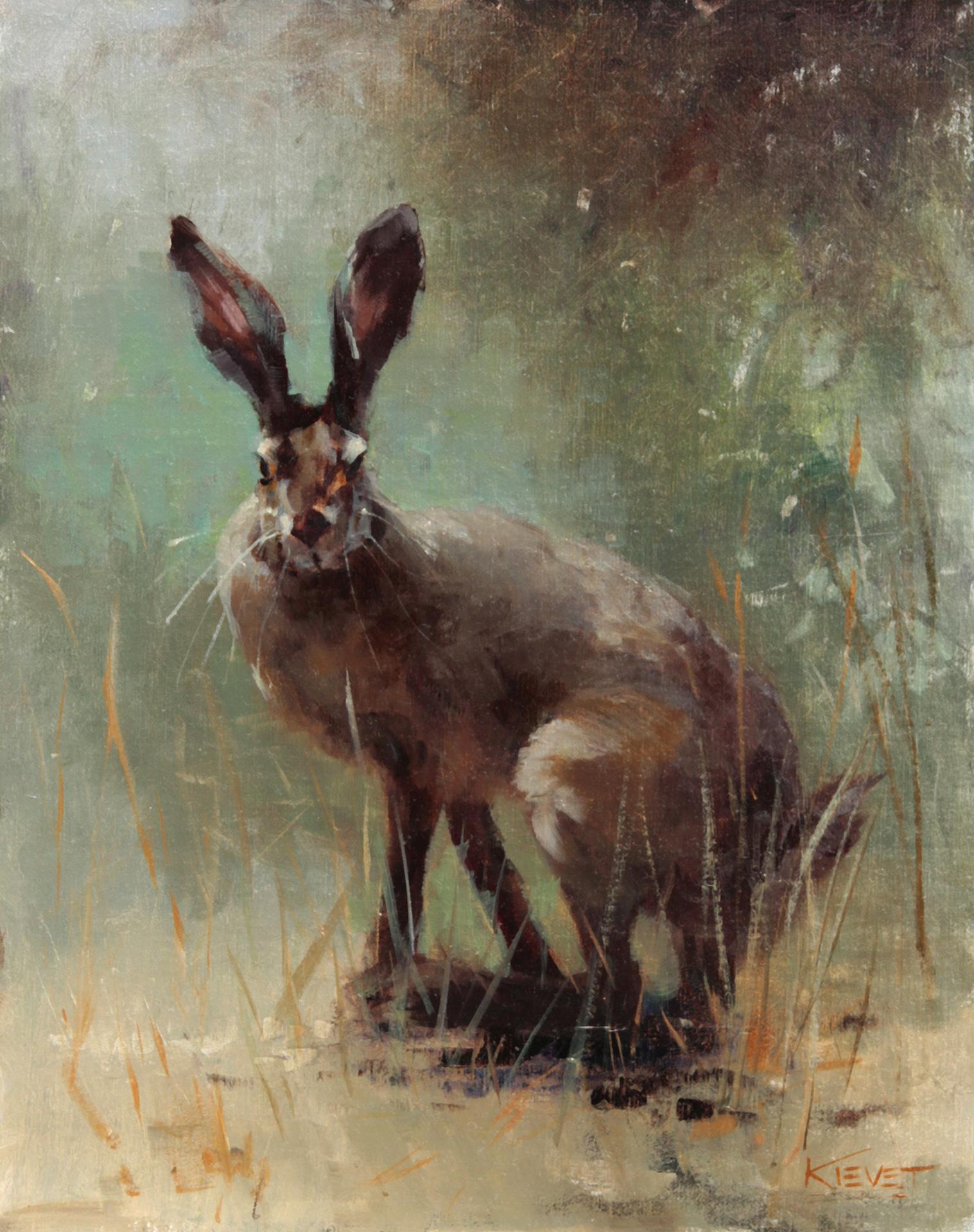 Fran Kievet, Wild Hare