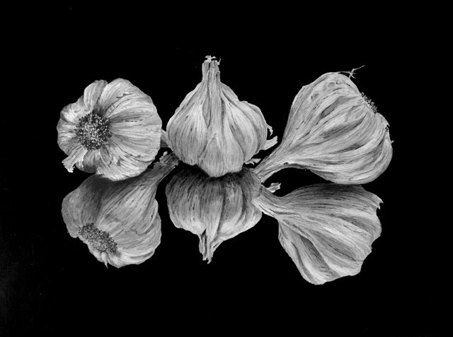 Donna Graham, Garlic Trio, graphite