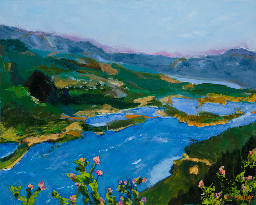 Joyce Tolley, Gorge Overview, oil