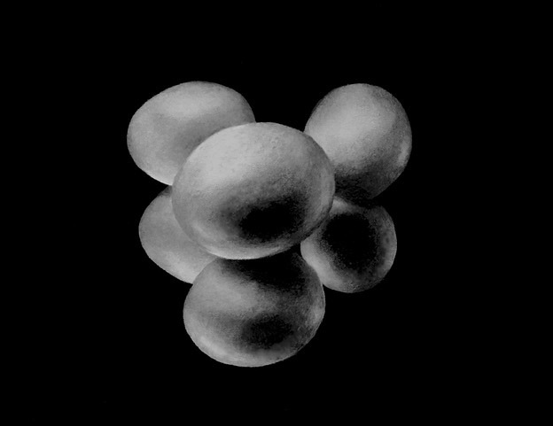 Donna Graham, Three Eggs, graphite